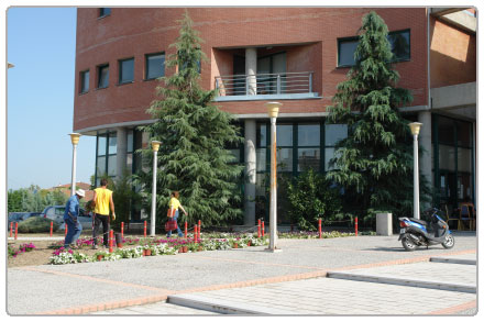 Image Image